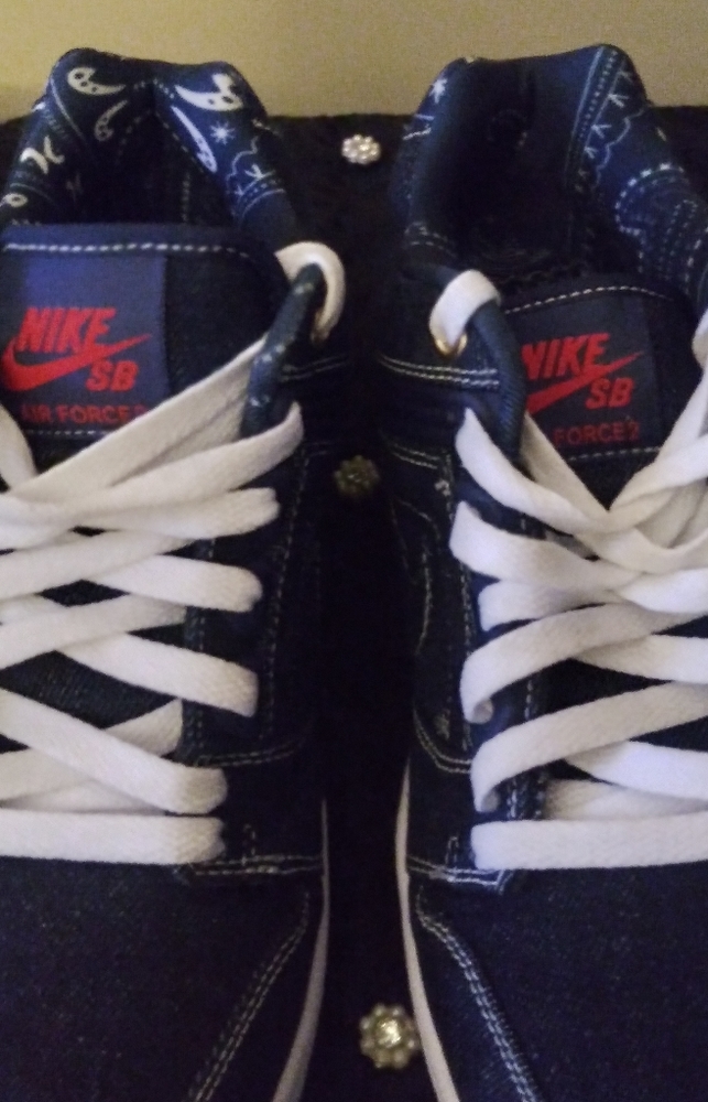 Nike dunk low sb